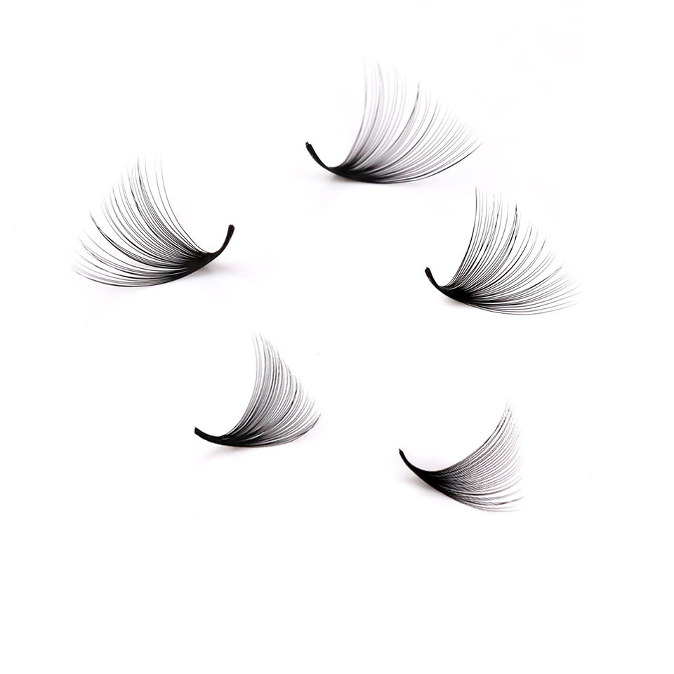 Lashprofessor XL Tray رموش مرو - مراجعة Eyelash Extension Mega Volume وسعره