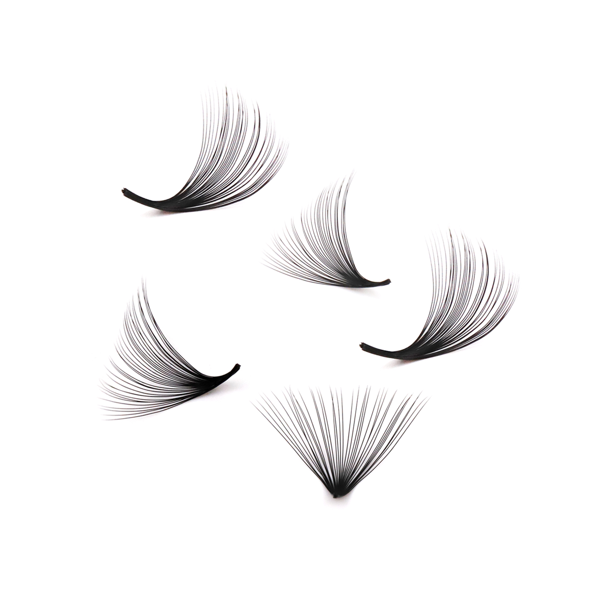 Aguud 2500 مراوح فضفاضة مراوح  - مراجعة Eyelash Extension Mega Volume وسعره