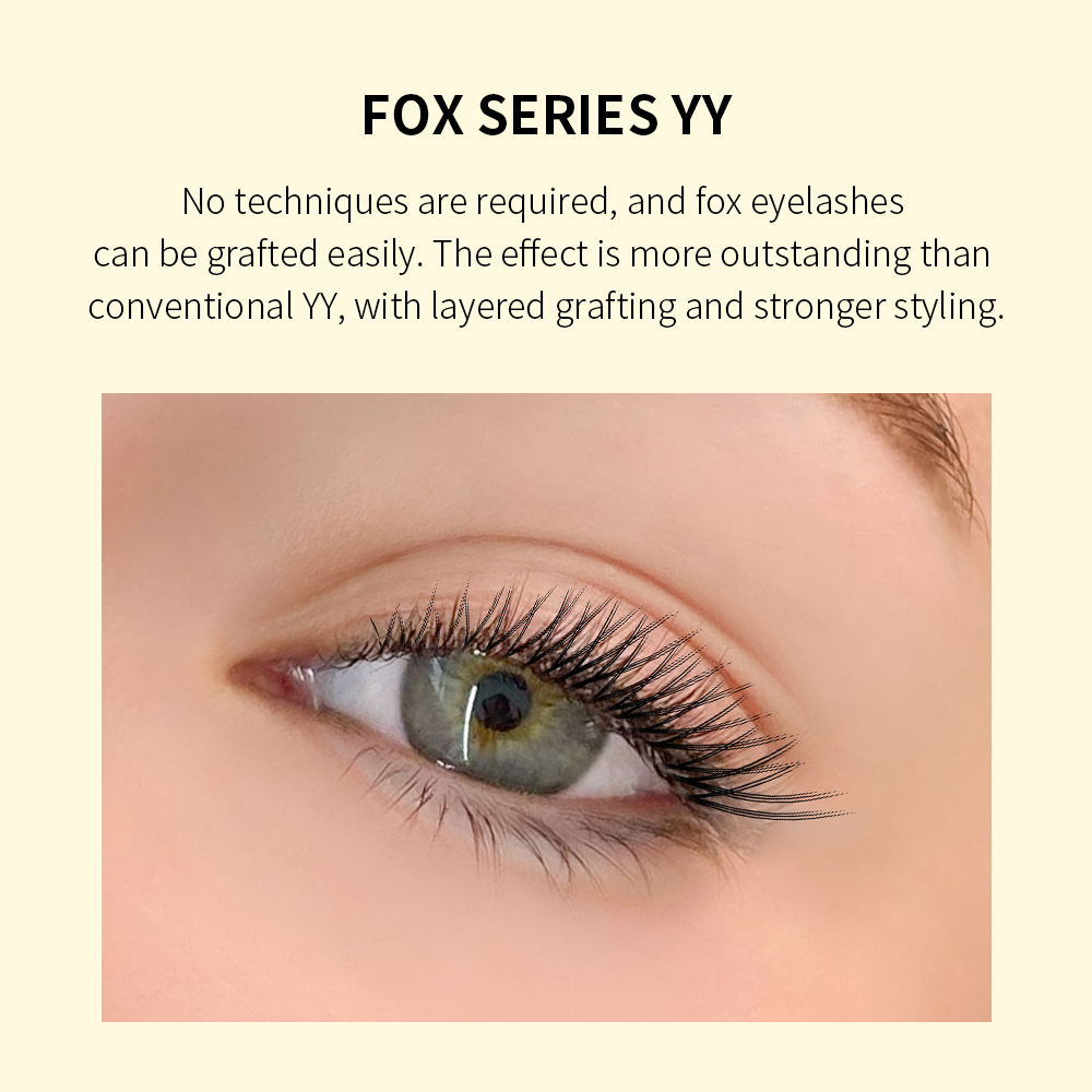 GLAMLASH Flying YY 3DW 4DW 5DW - مراجعة Eyelash Extension Mega Volume وسعره